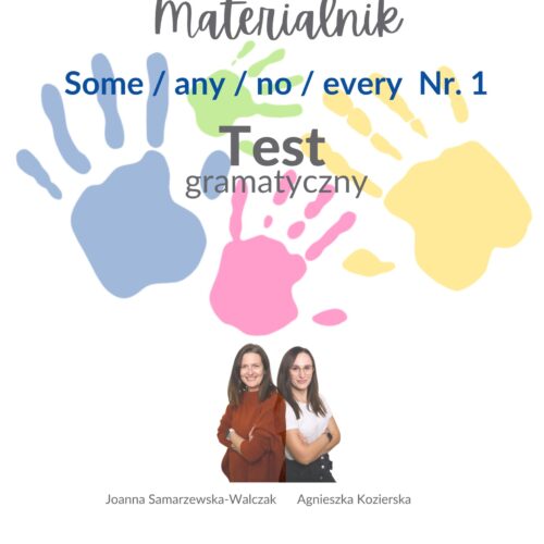 20. Test - Some/every/no/any ( Materialnik )
