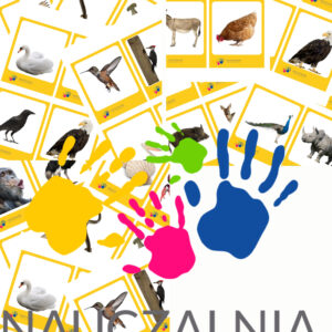 Program półkolonii "Around the English speaking world"+spotkanie online i omówienie programu