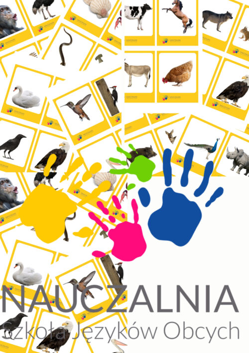 Program półkolonii "Around the English speaking world"+spotkanie online i omówienie programu